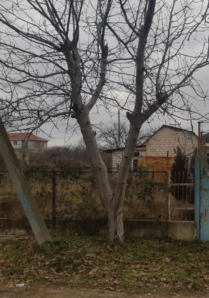 10 соток ,2 км к морю , вид на лиман , Вапнярка,Кооп Заря, без посредн