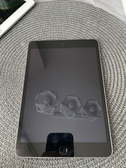 iPad mini сірого кольору