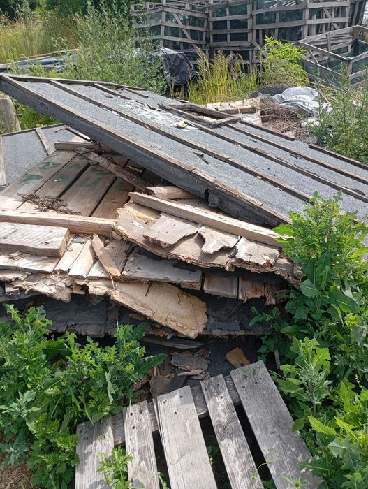 Drewno na opał  oddam