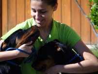 Serviços para cães