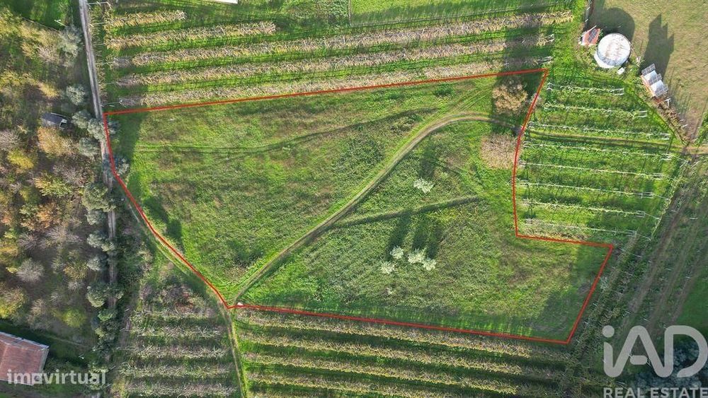 Terreno para construção em Sangalhos