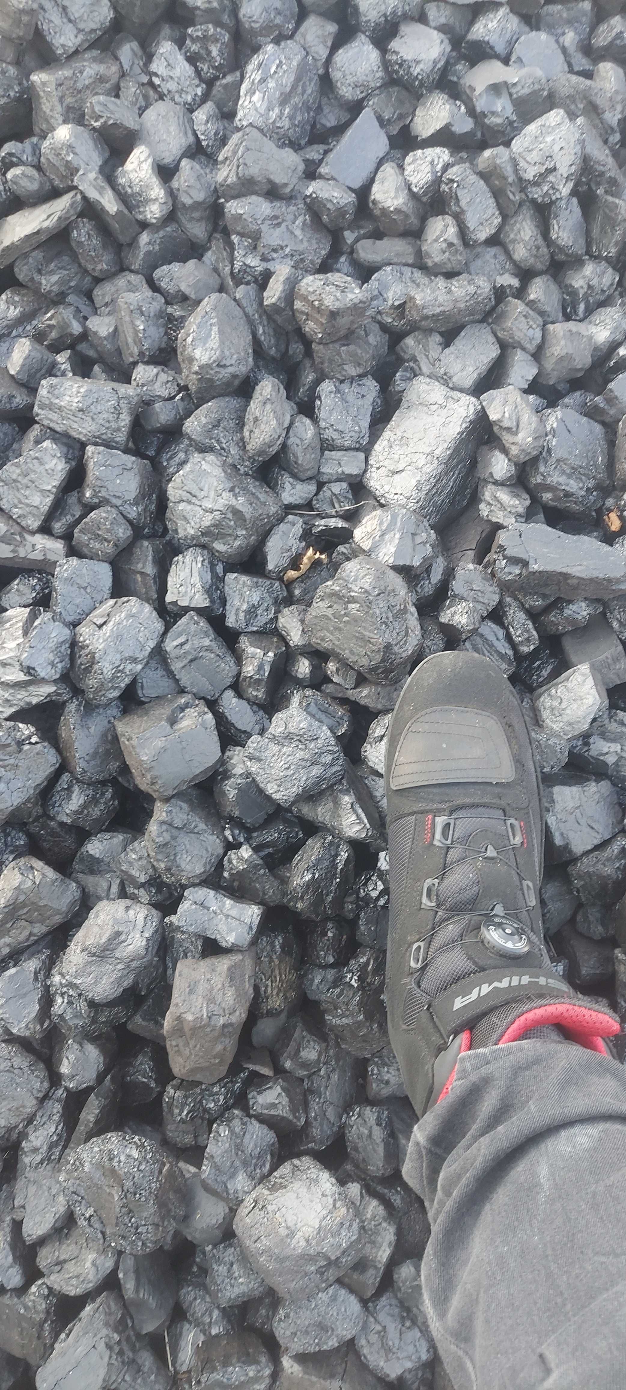 Węgiel kamienny  Ekogroszek Kazachstan Miał Groszek Orzech Kostka
