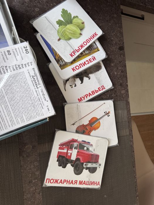 Подарунковий набір карток Домана «ВЕЛИКА ВАЛІЗА» Рос