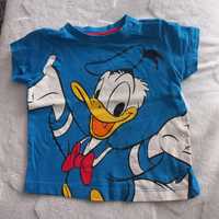 Koszulka t-shirt niemowlęcy rozm 74 C&A Kaczor Donald