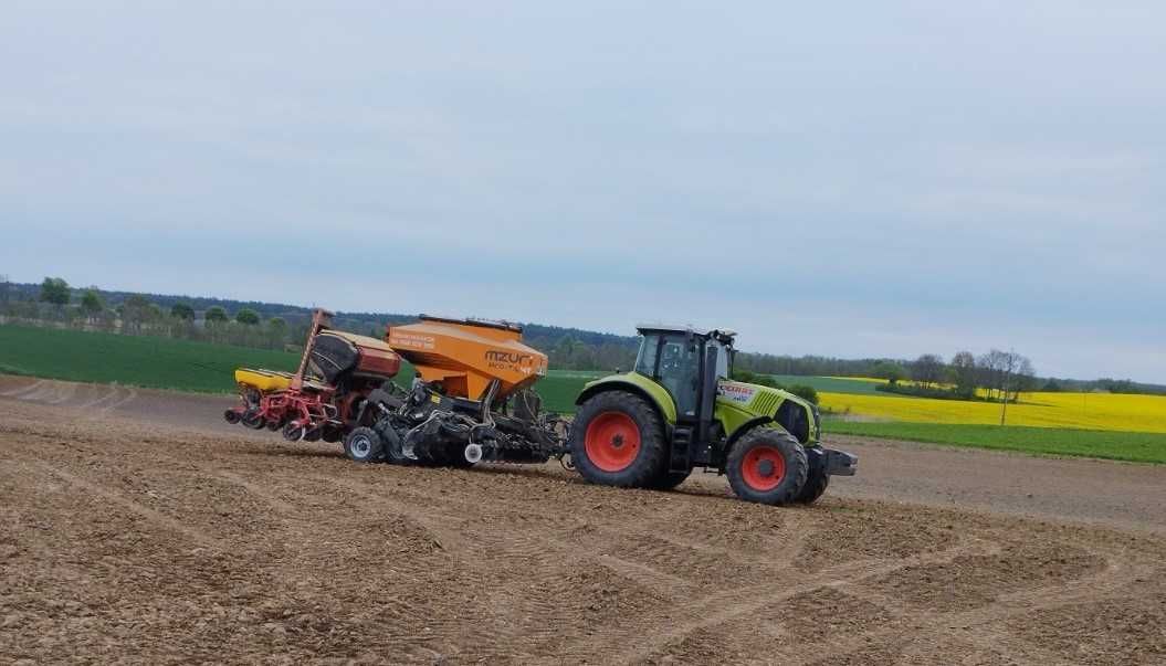 Siew pasowy kukurydzy słonecznika zbóż strip-till uprawa pasowa Mzuri