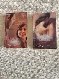 Livros Harlequin e bolso - Internacional, Romantic, Duplos,