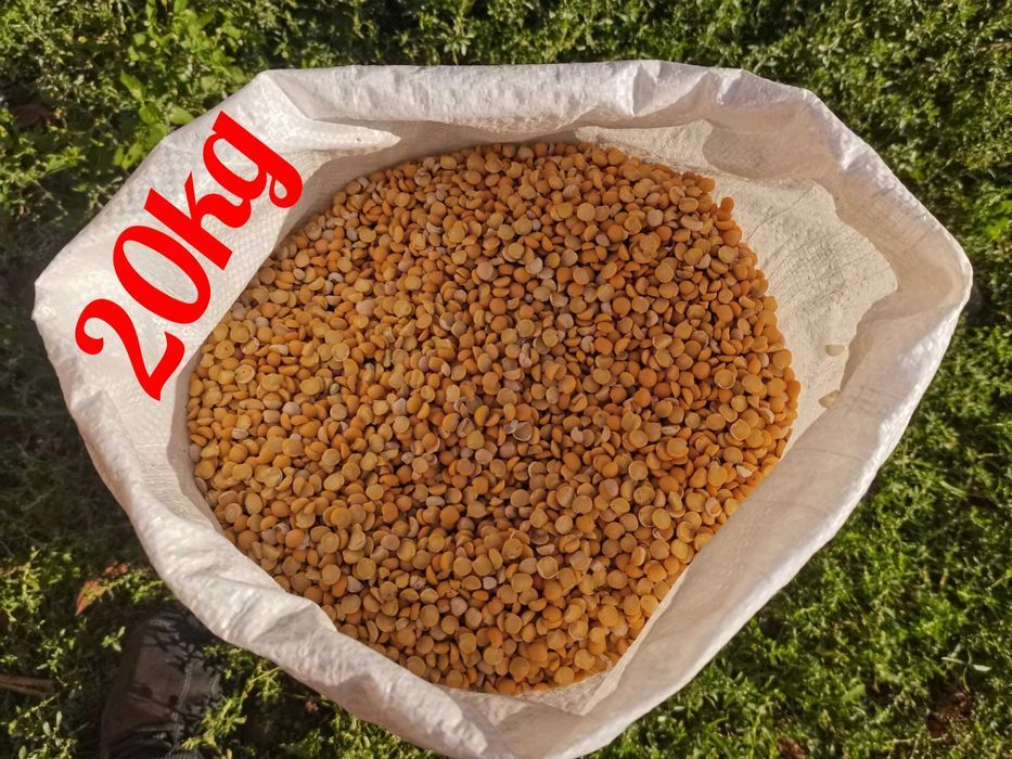 Groch połówki opakowanie 20kg wysyłka natychmiast Inpost