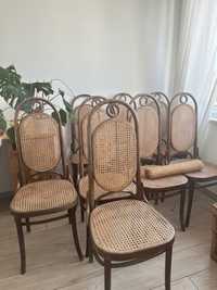 Krzesła Thonet gięte plecionka wiedeńska