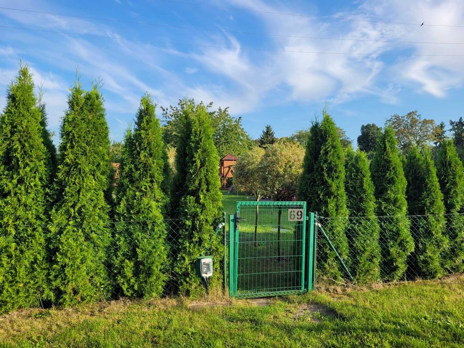 Działka ROD Budzyń