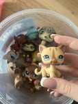Lps Shorthair zolty