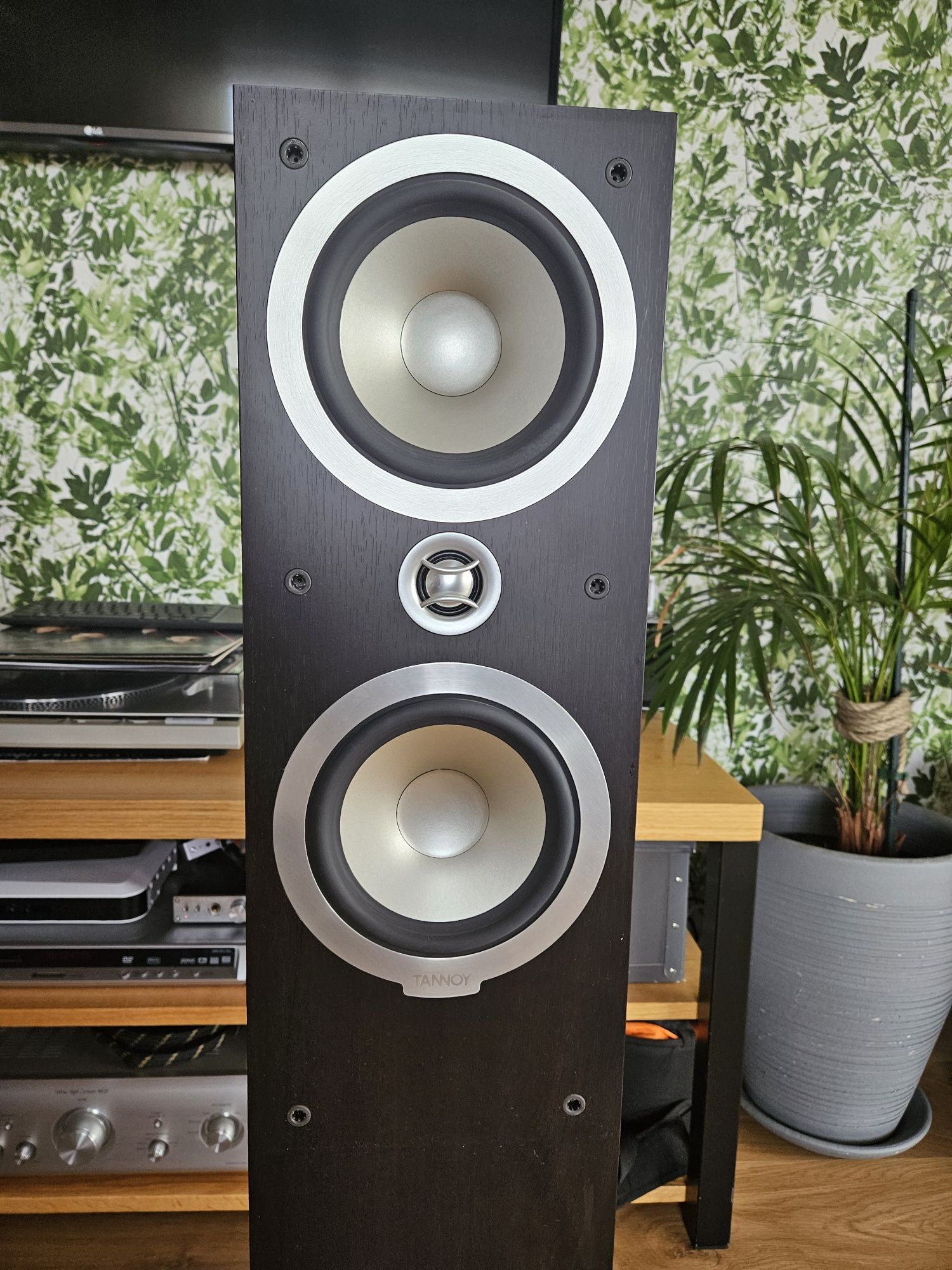 Kolumny Tannoy V4i