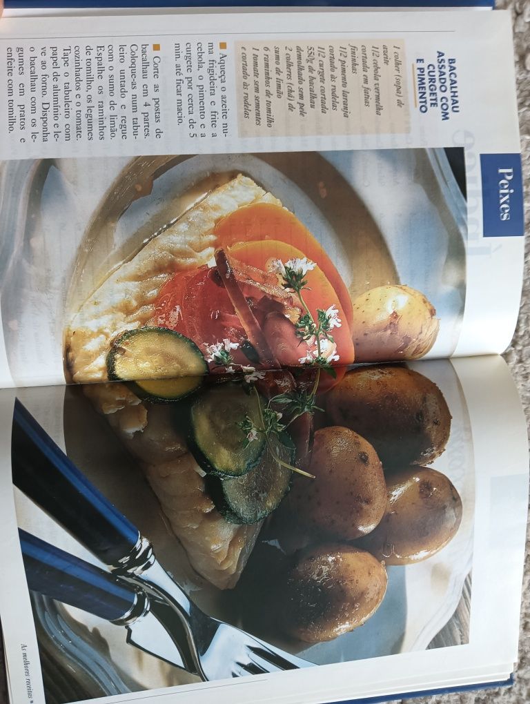 Peixe	Coleção As melhores receitas - 		Activa	Como Novo!