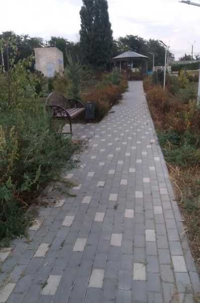 Продается участок в селе Александровка!