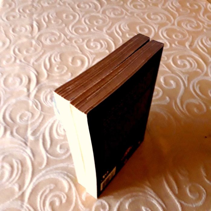 Stephen King - A Luz Vol. 2 - Publicações Europa América