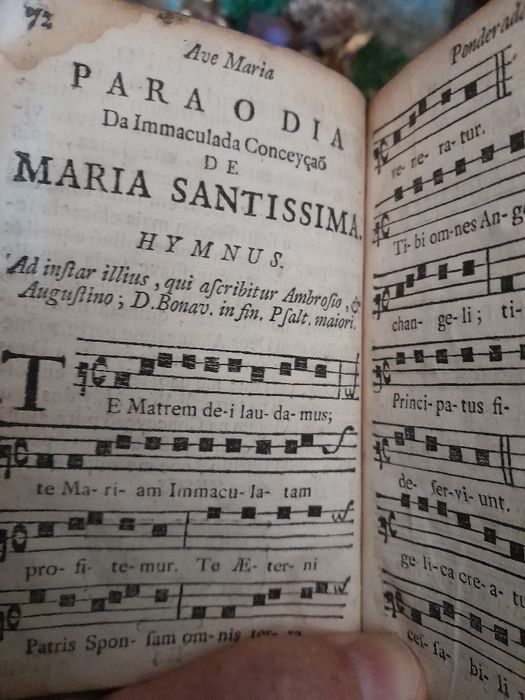 Novena à  virgem Maria