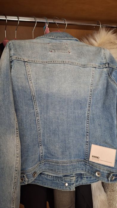 Casaca ganga da Salsa Nova