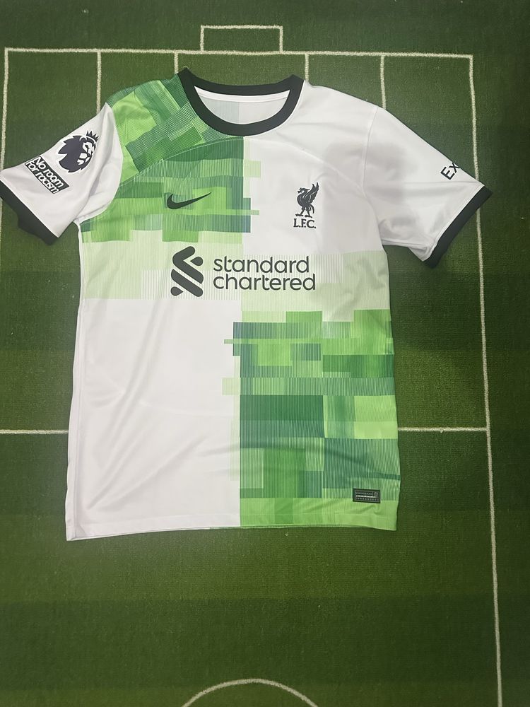 Virgil van Dijk 4