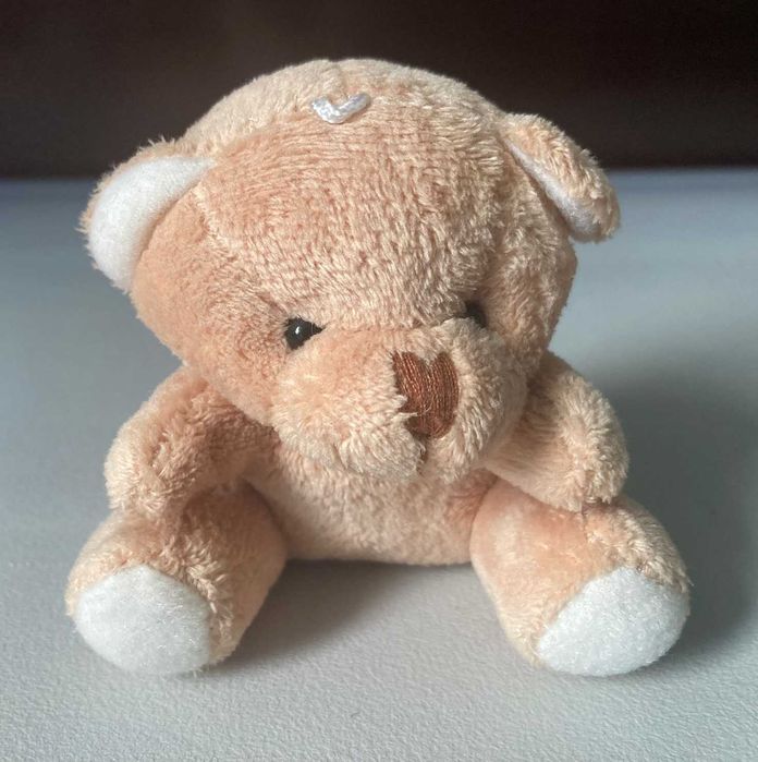 Pequeno Brinquedo Peluche