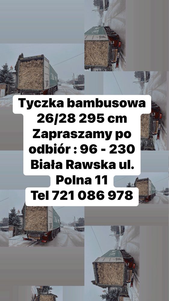 Tyczka bambusowa 20/22 210 tyczka sadownicza bambusowa