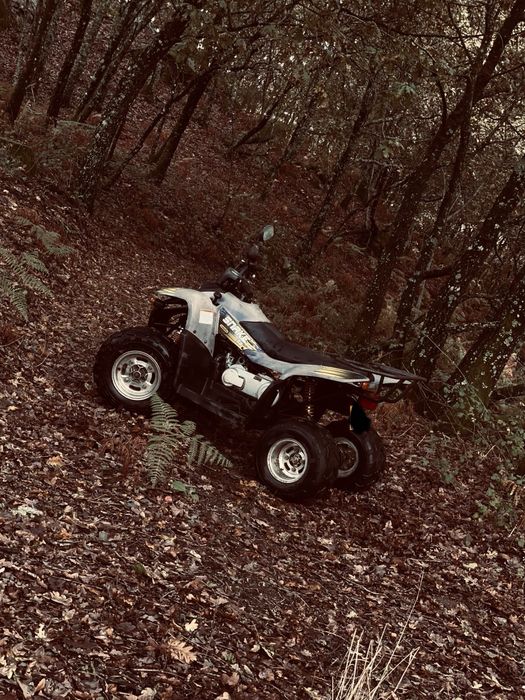 Moto Snake 50cc usada