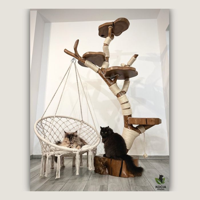 Drewniany Drapak Drapak Z Drewna Naturalne Kocie Drzewko Dla Kota