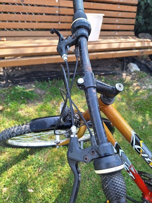 Rower Kross City Best