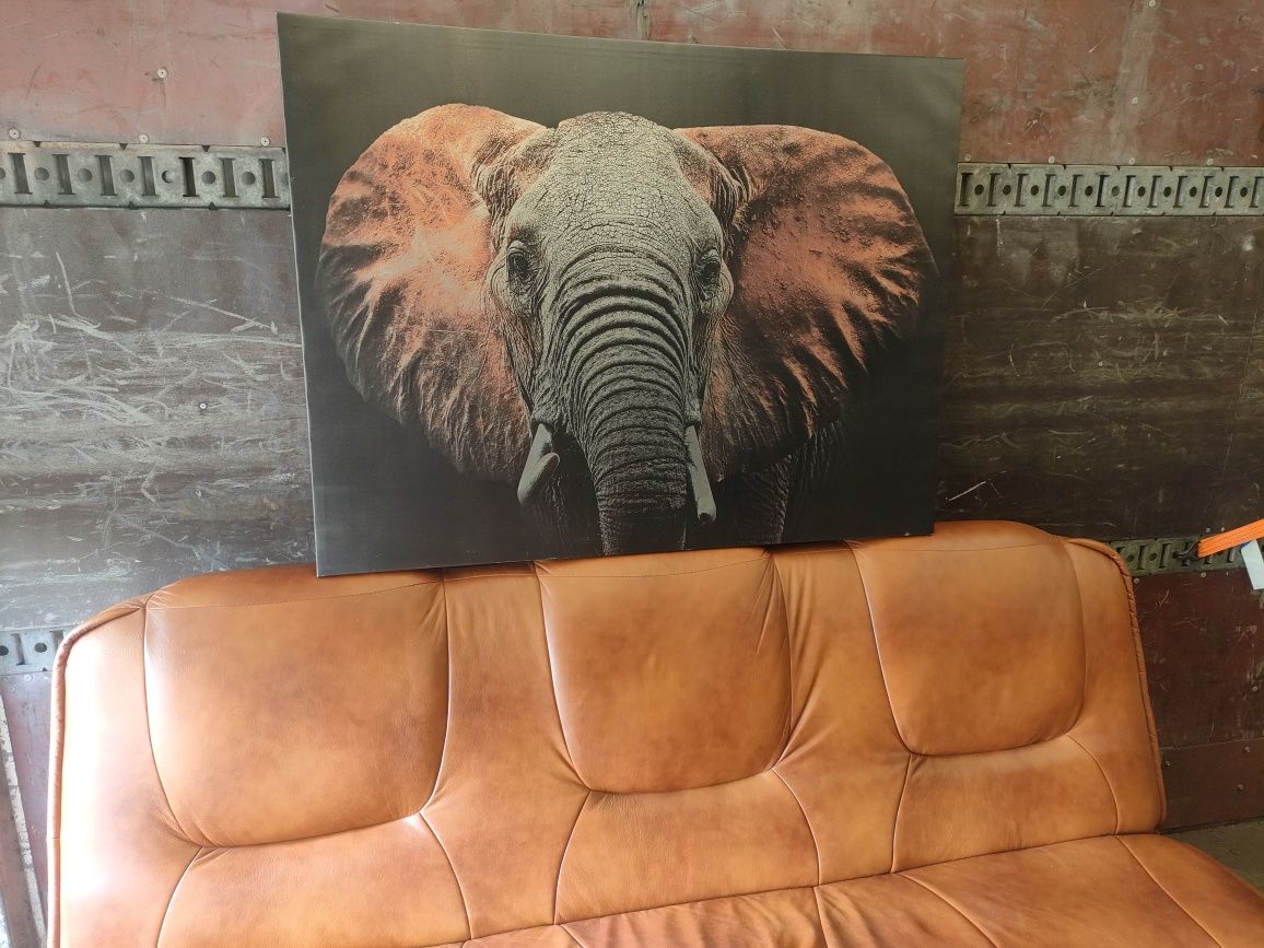 Obraz ze słoniem – 80 × 120 cm – gotowy do zawieszenia