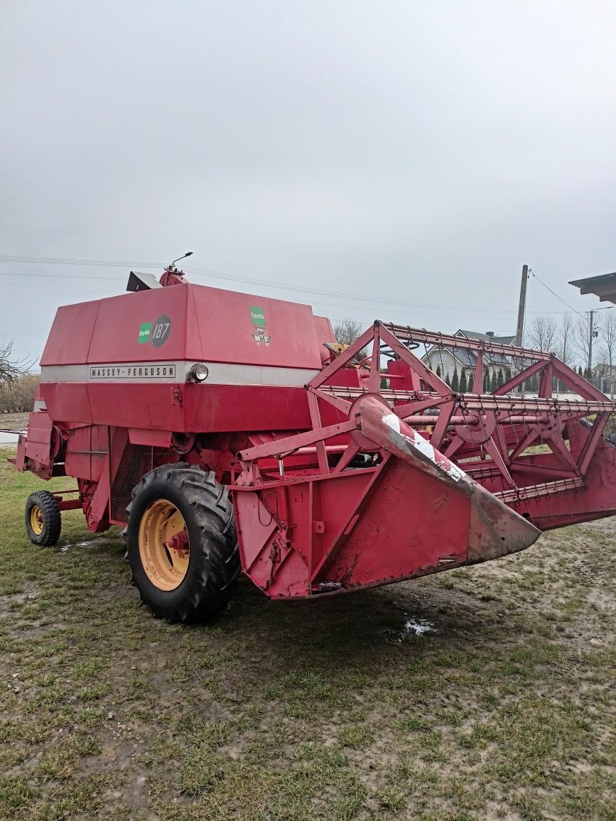 Massey Ferguson 186, 187 MF kombajn zbożowy