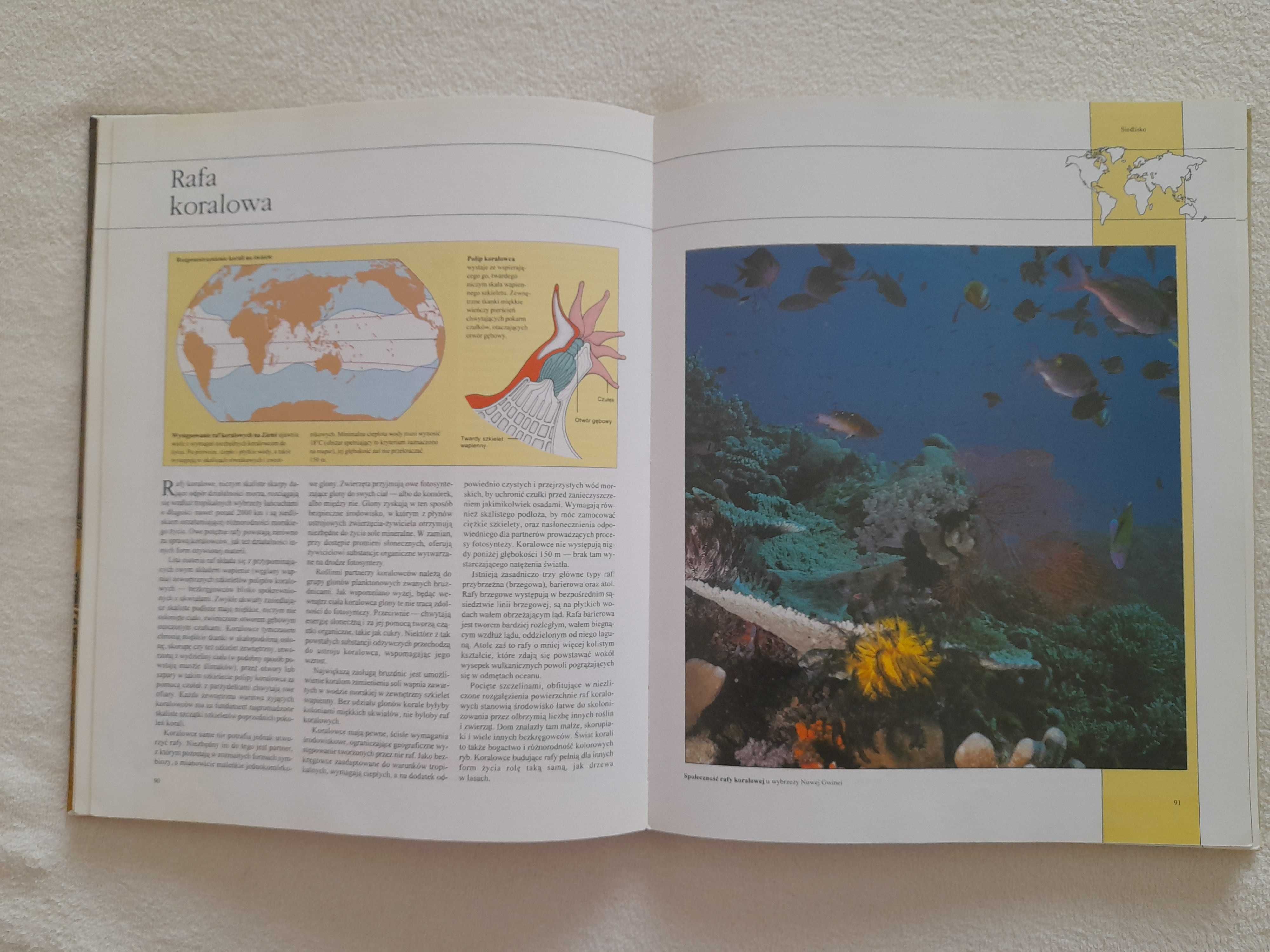 Książka - Atlas żyjącego świata autor: David Attenborough