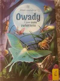 Owady i inne małe zwierzęta książeczka dla dzieci