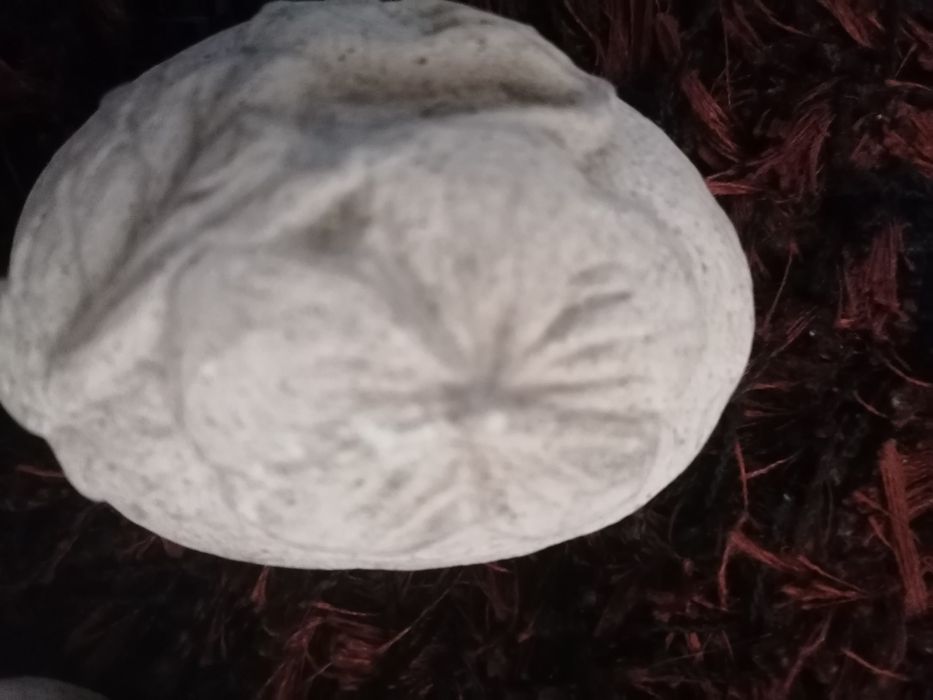 Pedras esculpidas de decoração muito bonitas