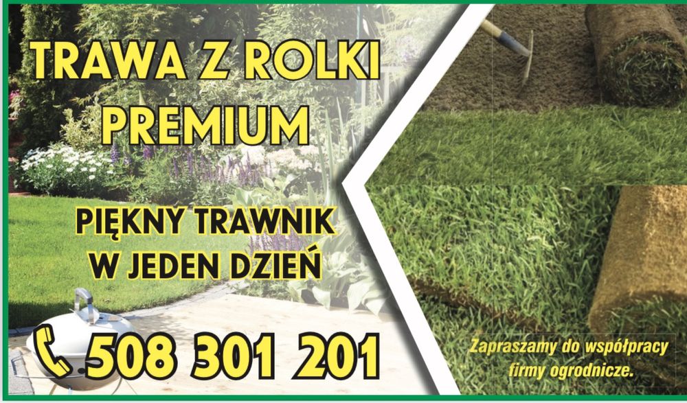 Trawa w rolce, trawa z rolki, trawa ogrodowa TRAWNIK PREMIUM