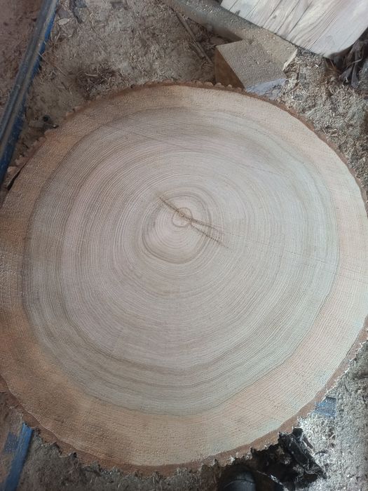 PLASTER  unikat 100cm ładne słoje Jesion stolik kawowy plaster