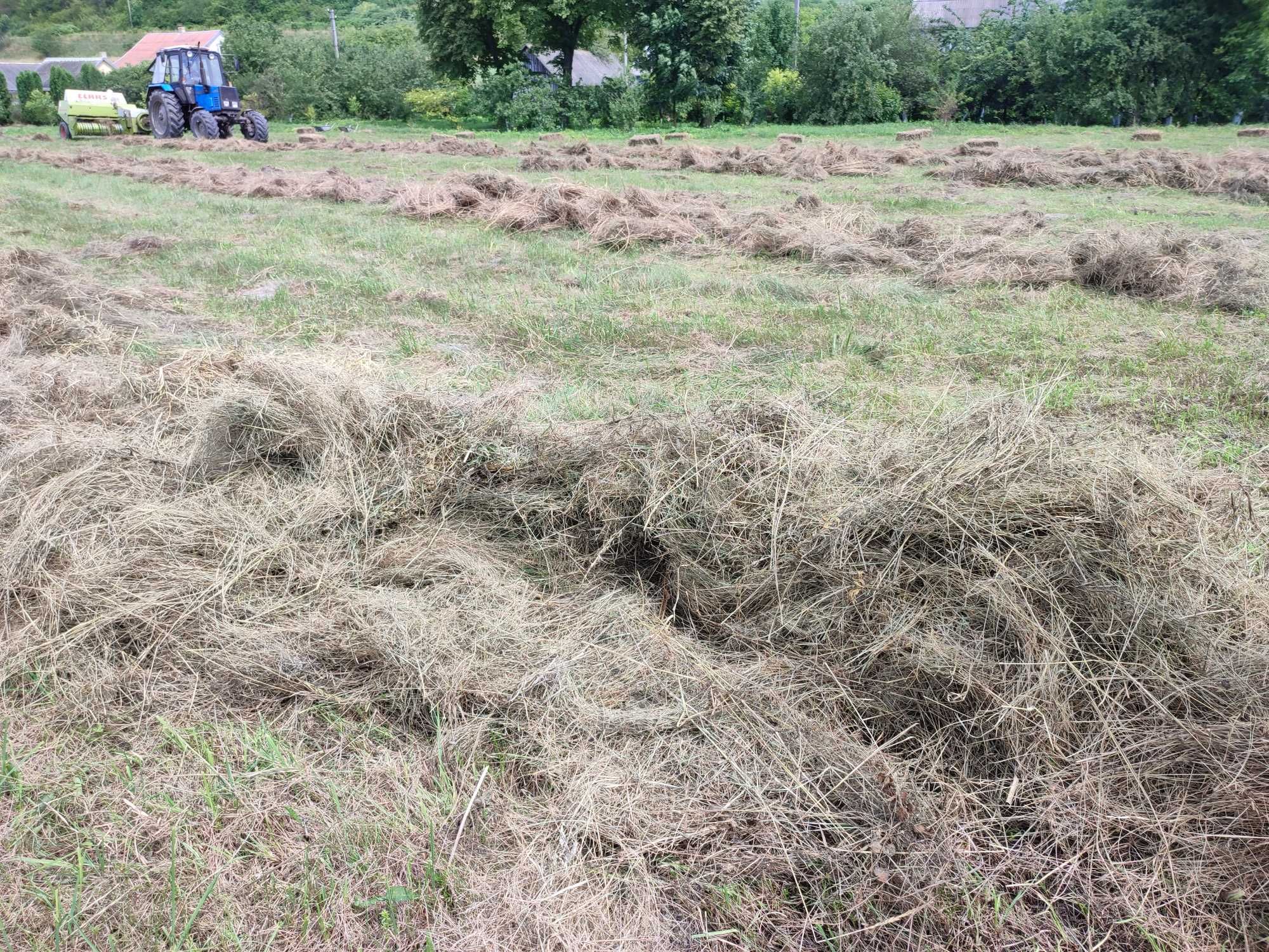 Продам сіно, тюки сіна