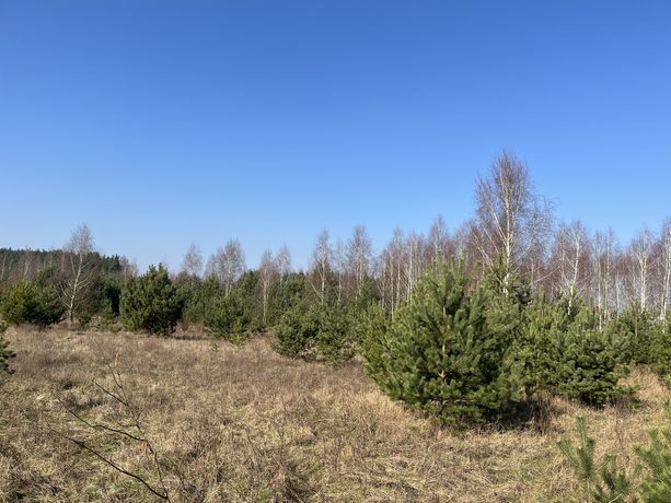 Działka budowlana, Stronno,  pow.bydgoski, gm.Dobrcz BEZ POŚREDNIKÓW