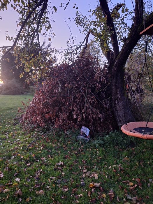 Oddam gałęziówkę świerk jabłoń grusza mirabelki pellet