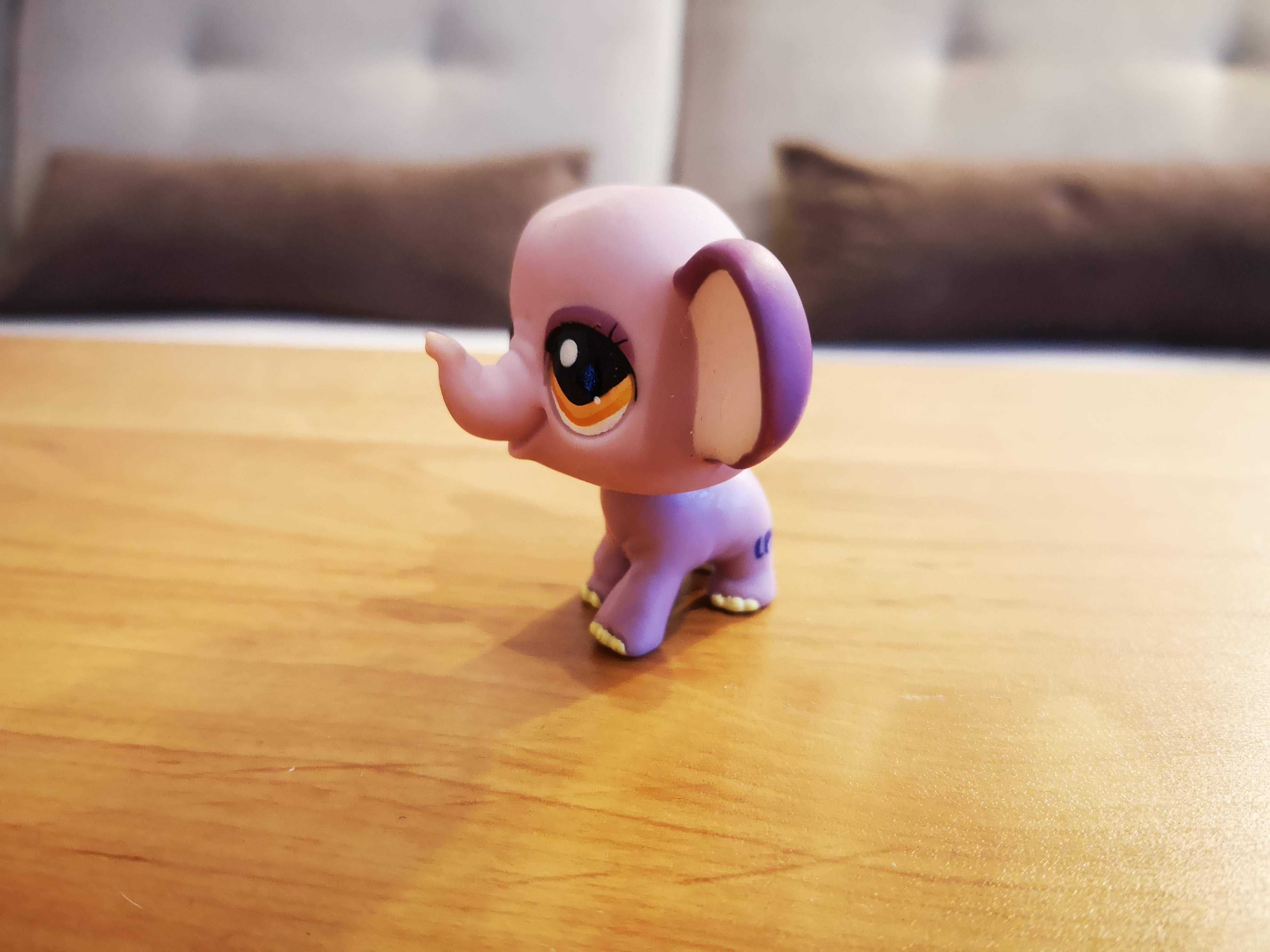 Unikat LPS Littlest Pet Shop unikat Słonik