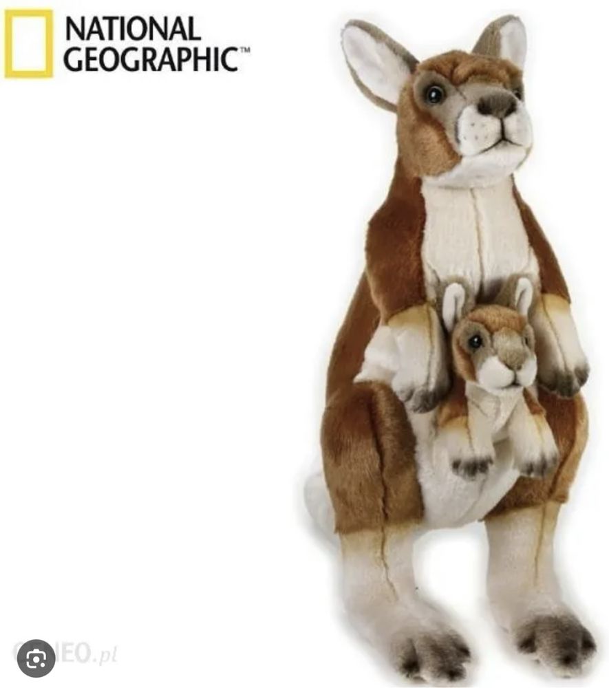 Duza maskotka Kangur z dzieckiem National Geagraphic