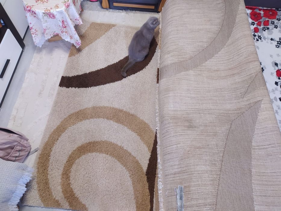 Килим 3*2 метри.