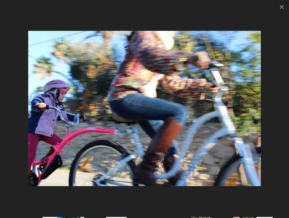 WeeRide PRO Pilot ALU rower, przyczepka, doczepka rowerowa dla dzieci