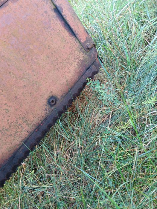 Wicinak bvl sprzedam