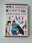 Como treinar o seu cão
