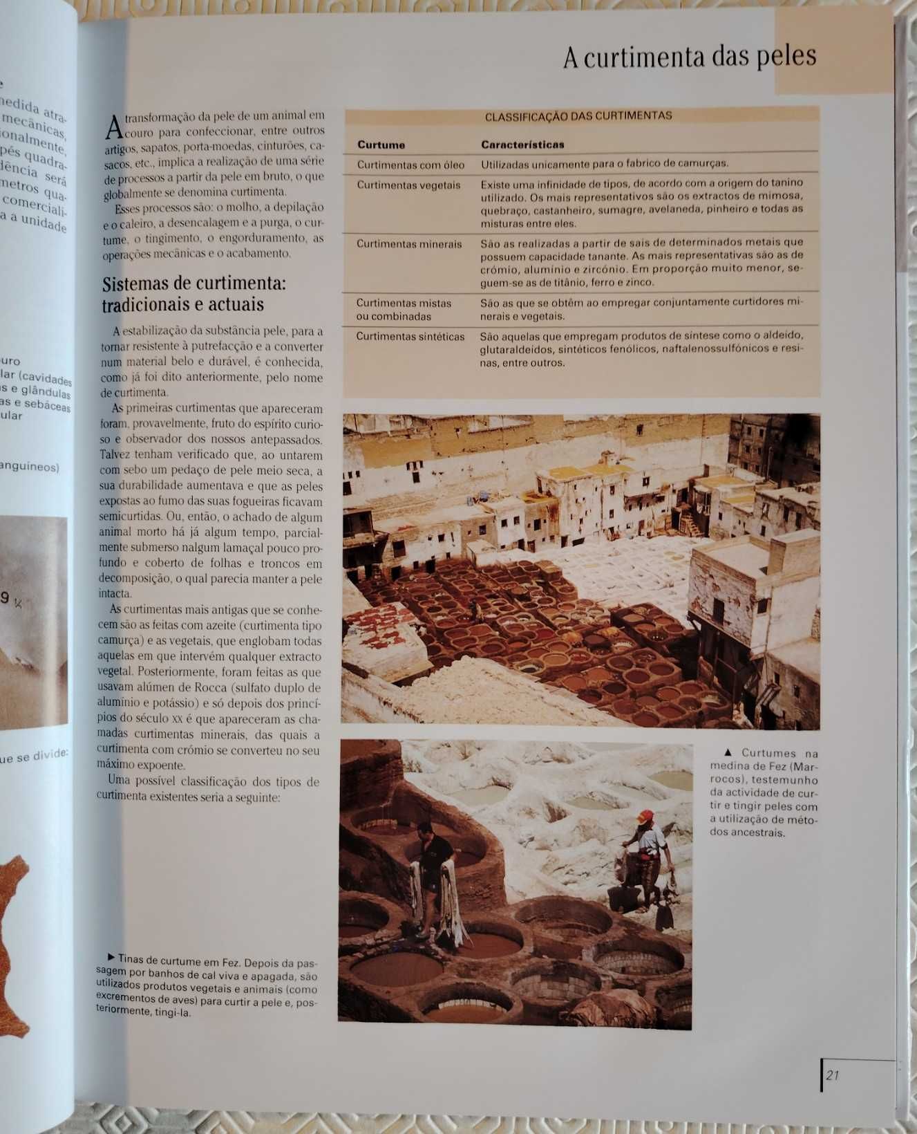 O Couro: Técnicas Explicadas Com Rigor e Clareza