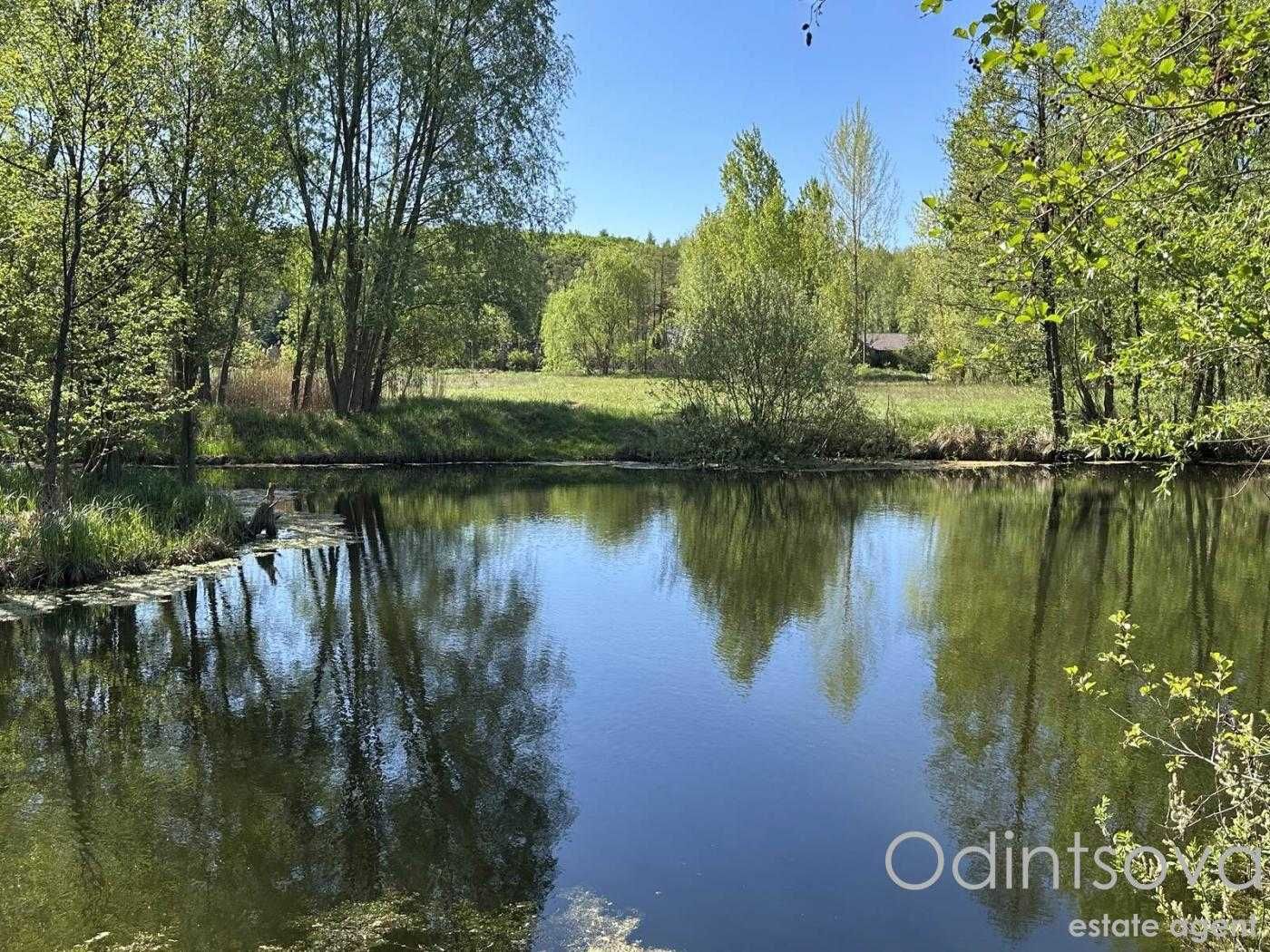 Земельна ділянка з власним озером у с. Застугна, Васильківський район