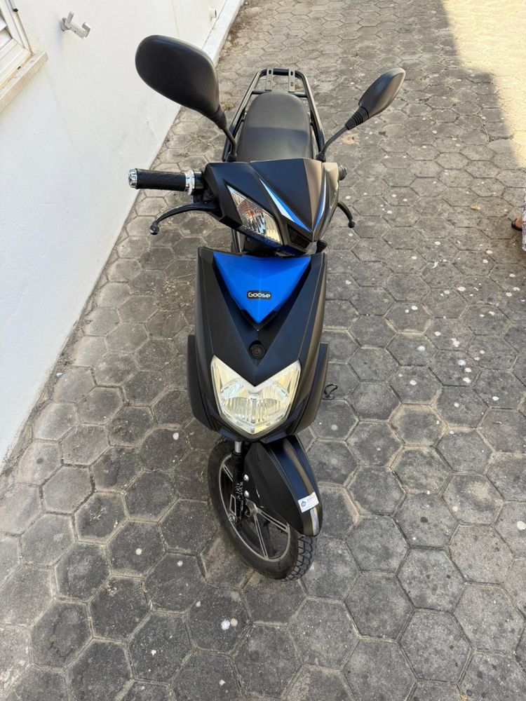 Moto eletrica goose