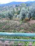 Terreno  para venda