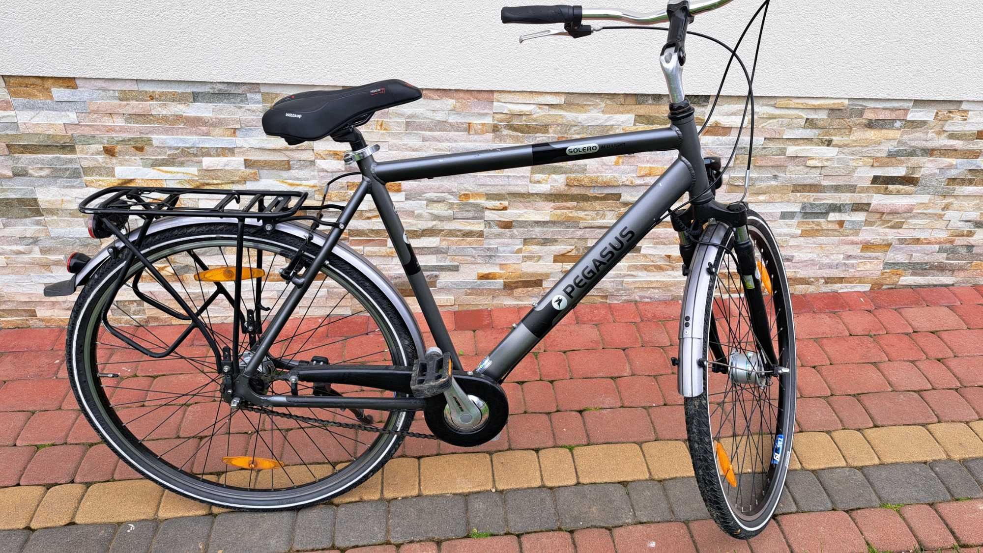 Rower Pegasus Solero