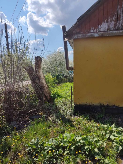 Продаж будинку село Ромашки. Білоцерківський район.