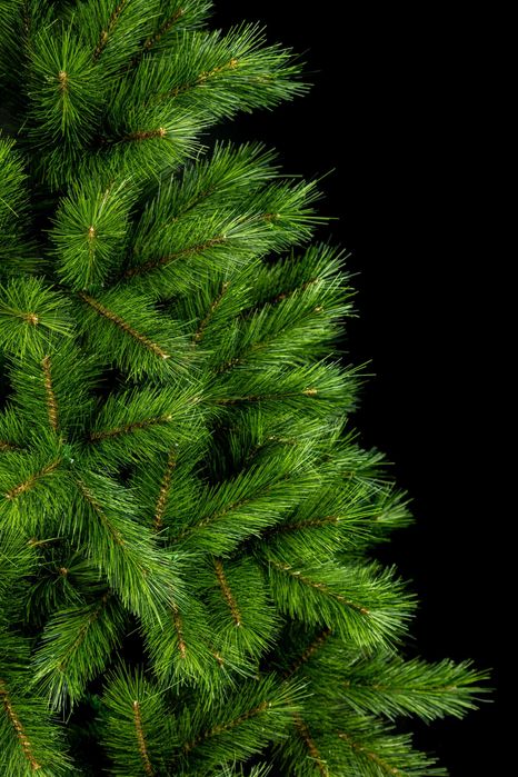 Штучна ялинка Сосна Канадська 1,5м