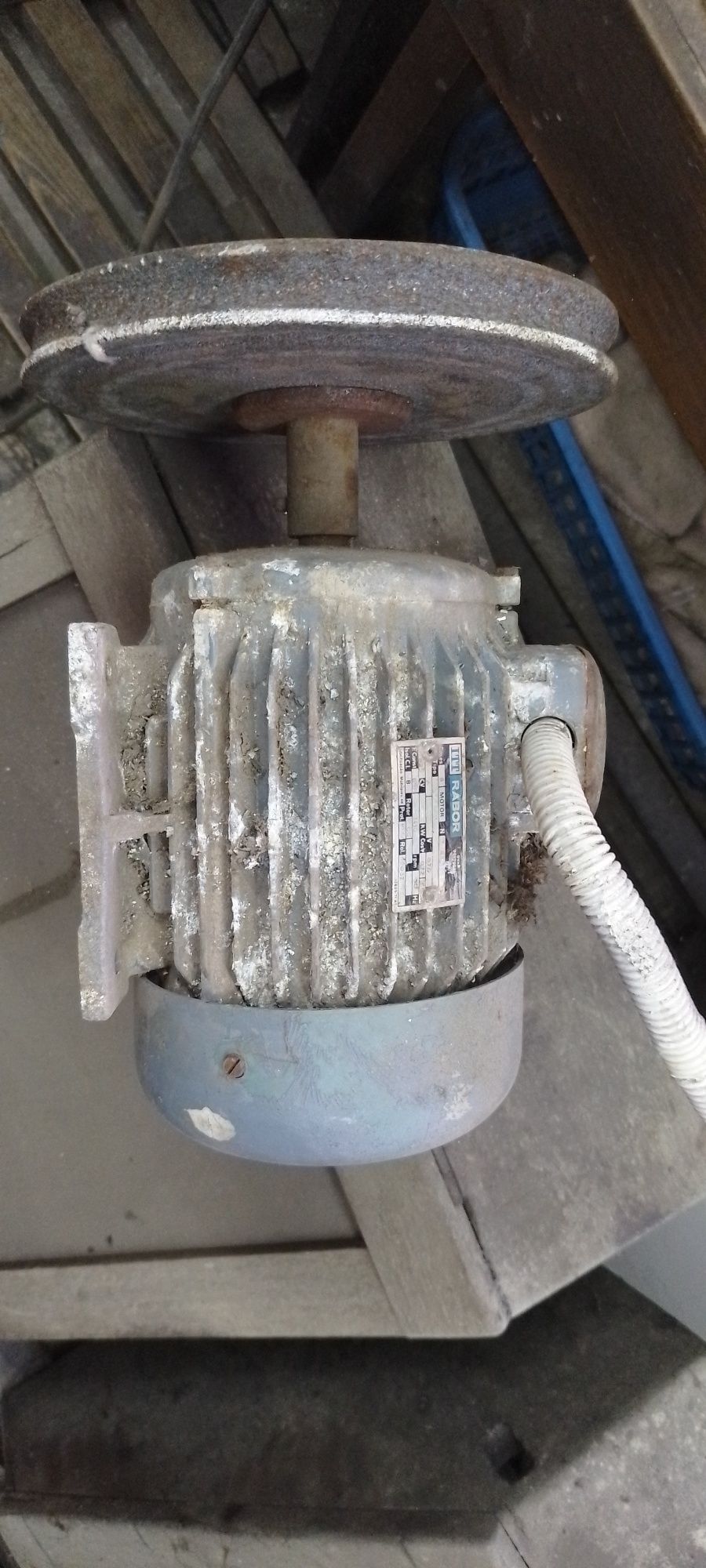 Vendo motor trifásico rabor